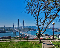 Инвестиции провинции Хэйлунцзян в Дальний Восток приблизились к $10 млрд